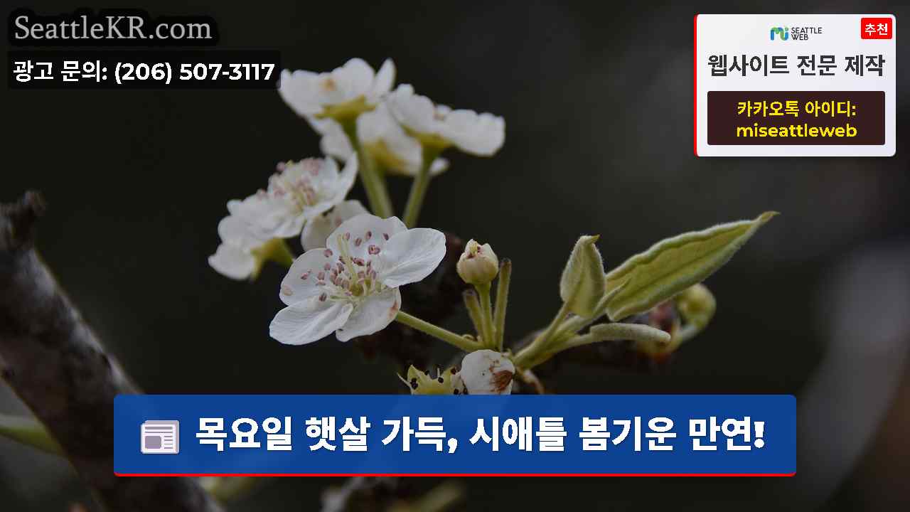 시애틀 뉴스 SeattleKR