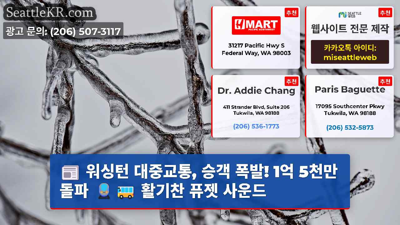 시애틀 뉴스 SeattleKR