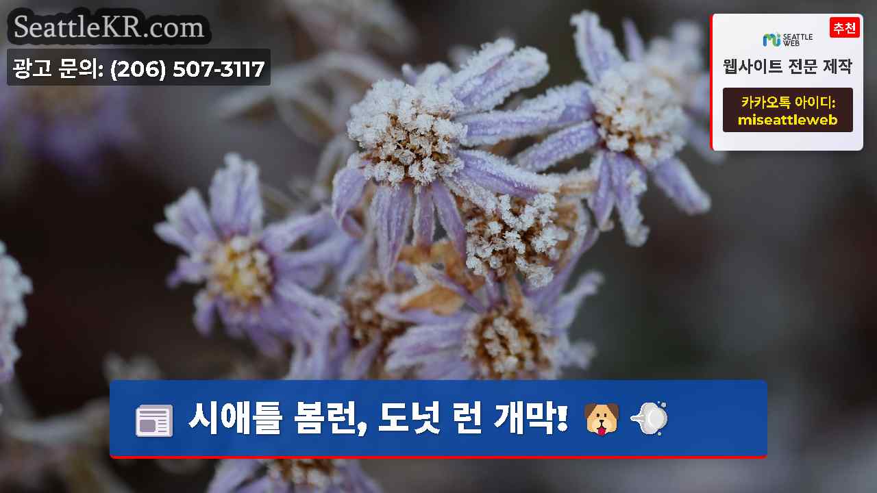 시애틀 뉴스 SeattleKR