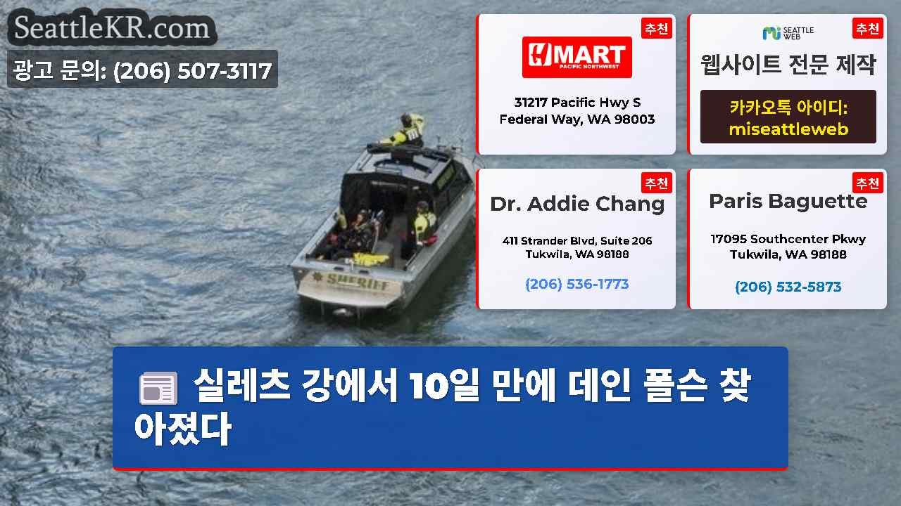 시애틀 뉴스 SeattleKR