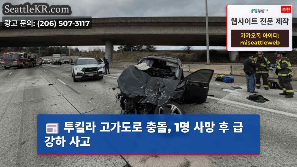 투킬라 고가도로 충돌, 1명 사망 후 급강하 사고