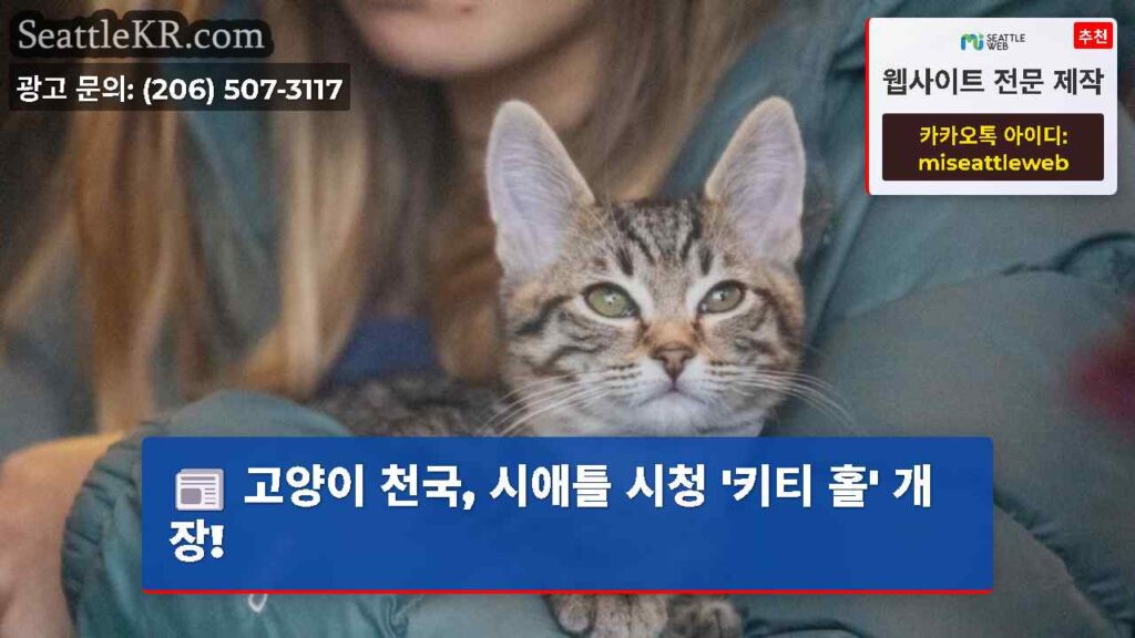 고양이 천국, 시애틀 시청 '키티 홀' 개장!
