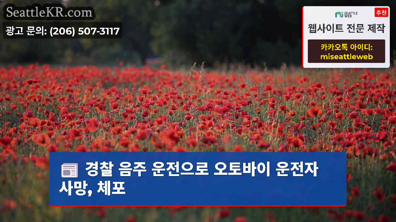 시애틀 뉴스 SeattleKR