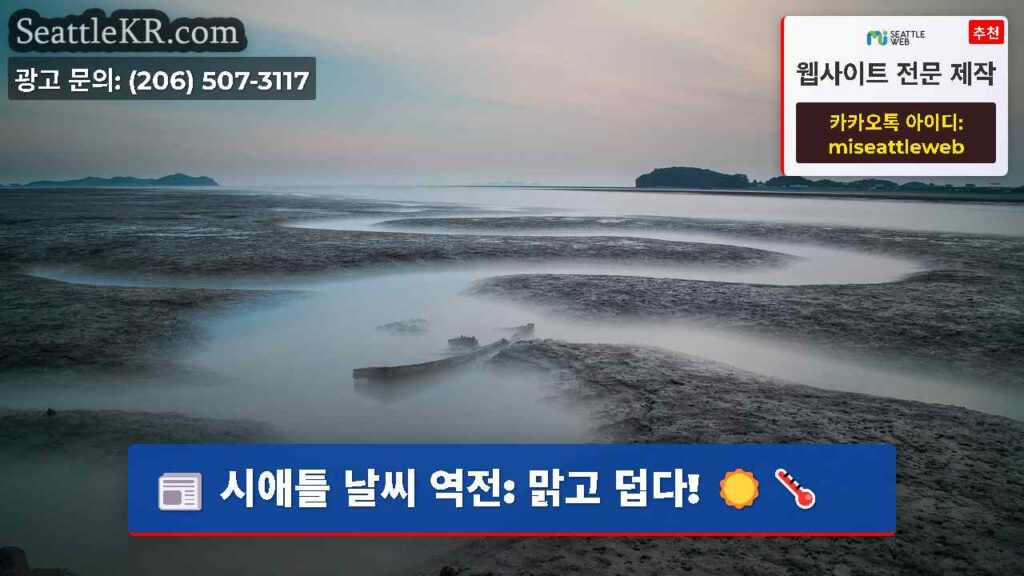 시애틀 날씨 역전: 맑고 덥다! ☀️🌡️