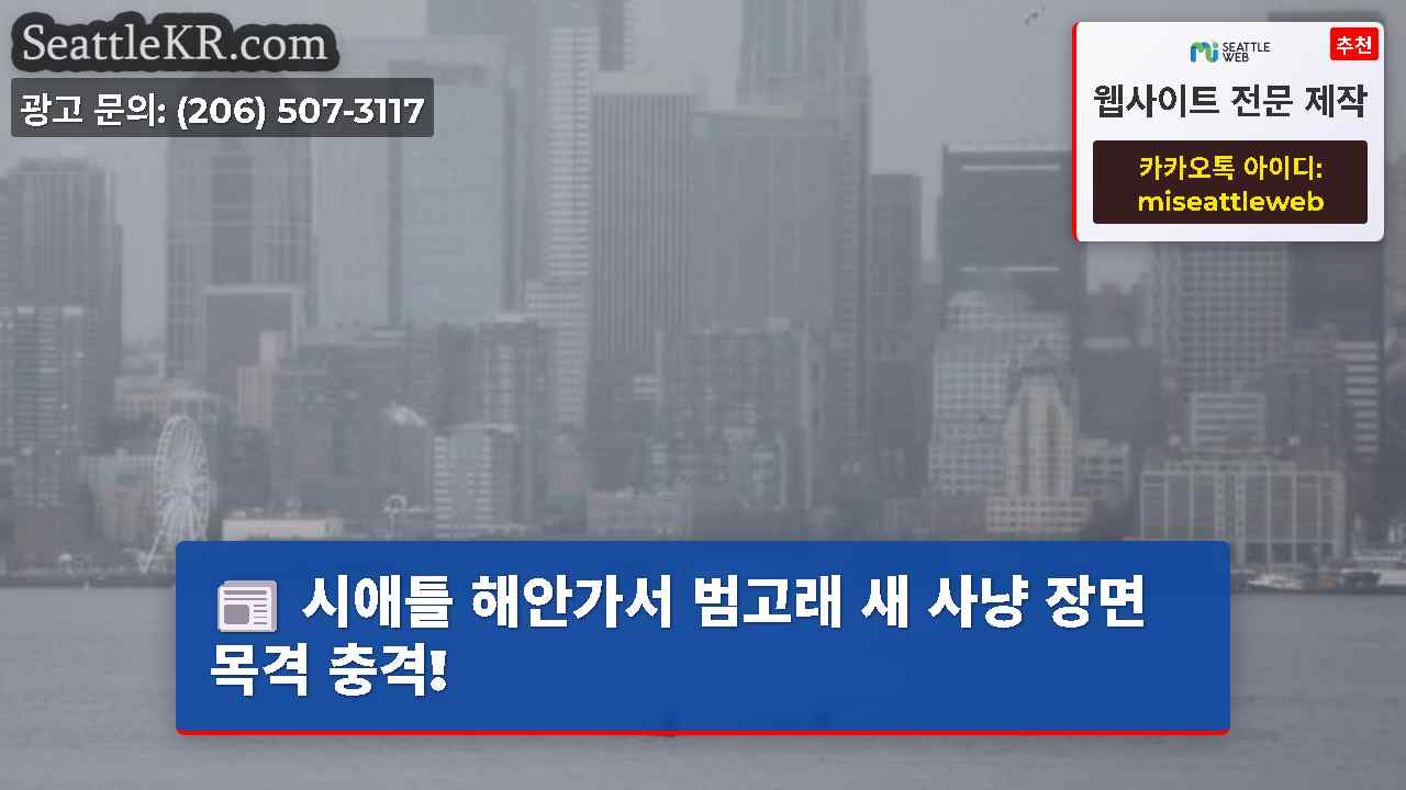 시애틀 뉴스 SeattleKR