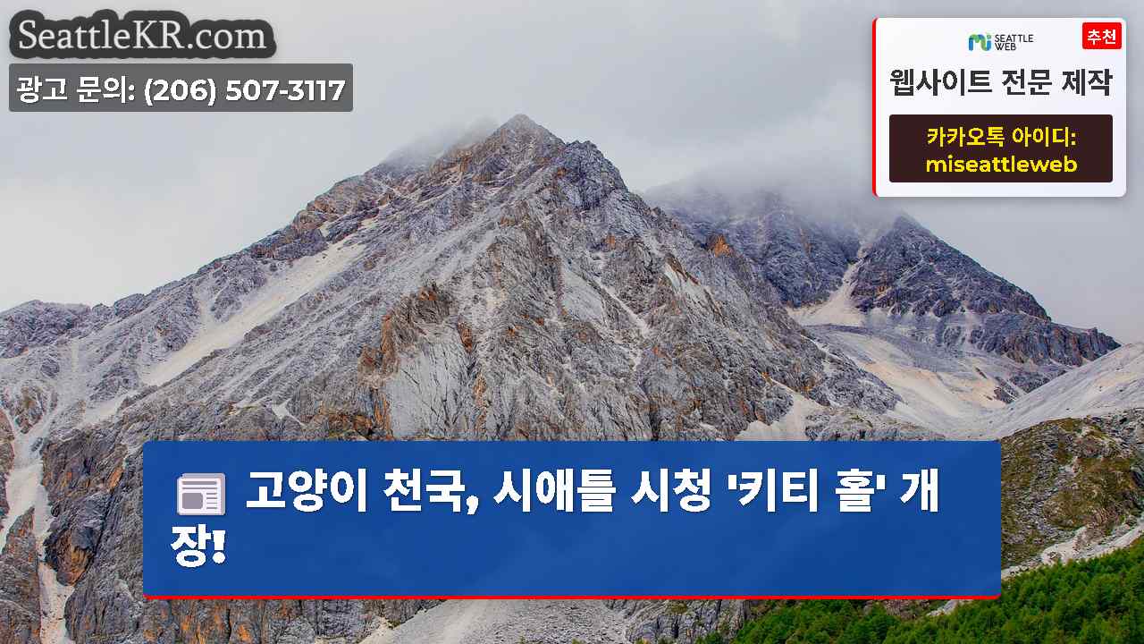 시애틀 뉴스 SeattleKR