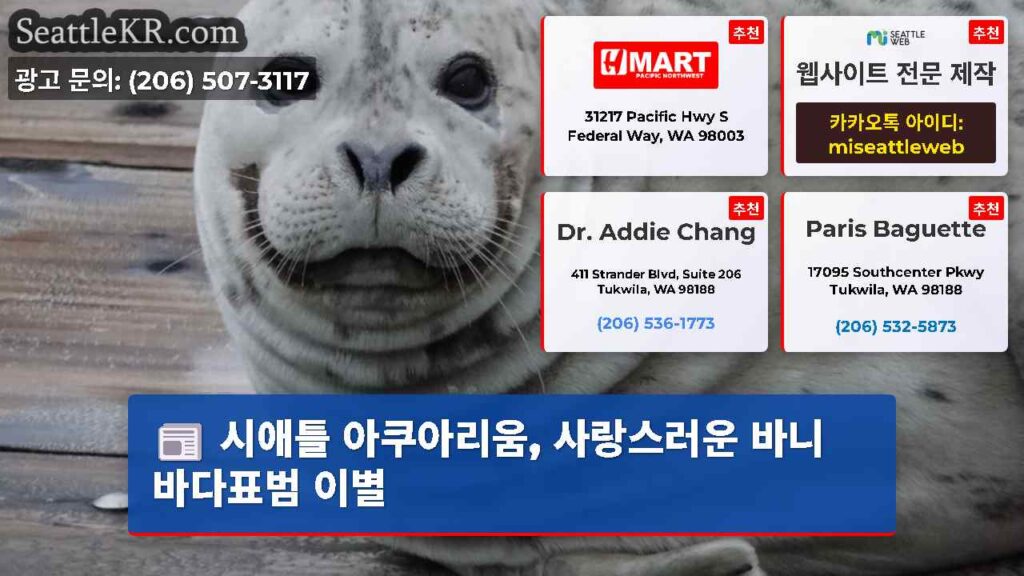 시애틀 아쿠아리움, 사랑스러운 바니 바다표범 이별