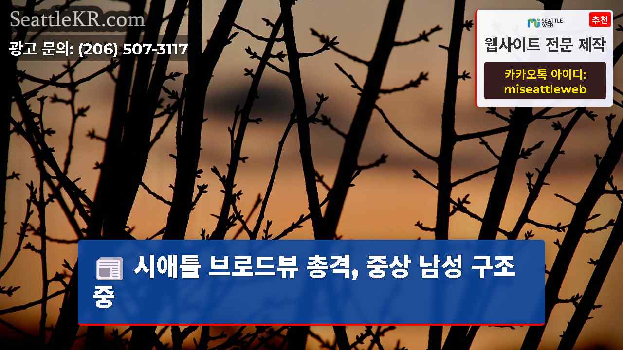 시애틀 뉴스 SeattleKR