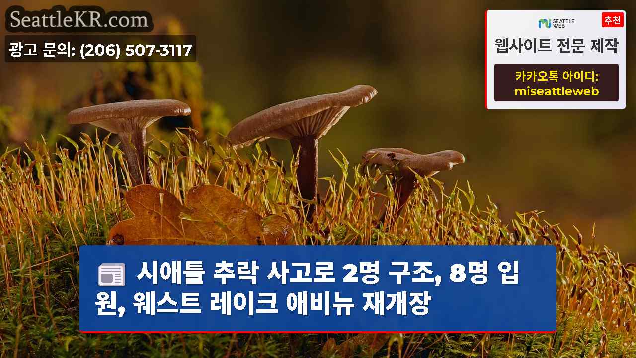 시애틀 뉴스 SeattleKR
