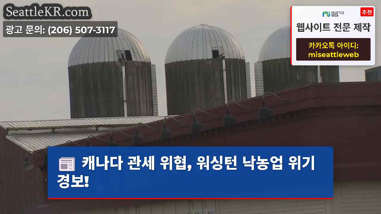 시애틀 뉴스 SeattleKR