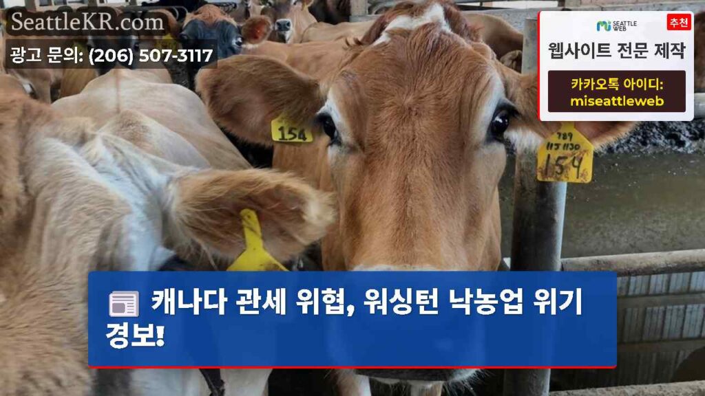 캐나다 관세 위협, 워싱턴 낙농업 위기 경보!