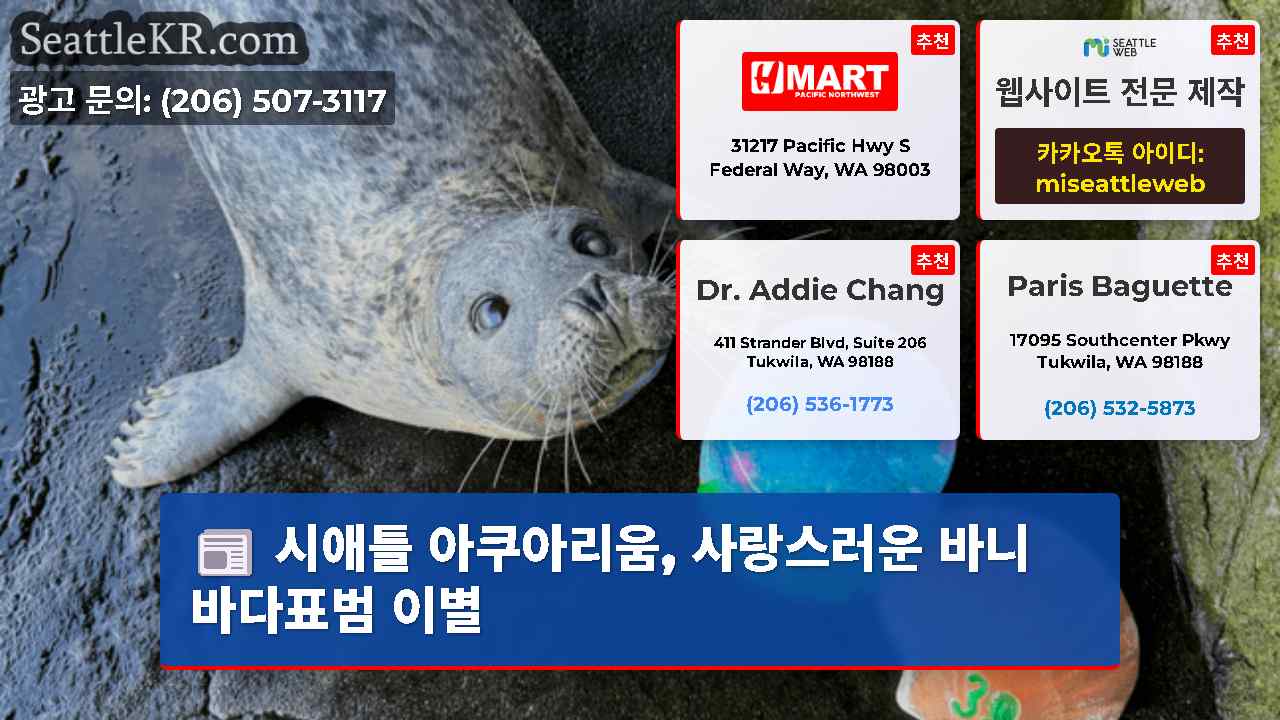 시애틀 뉴스 SeattleKR