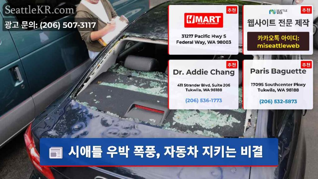 시애틀 우박 폭풍, 자동차 지키는 비결