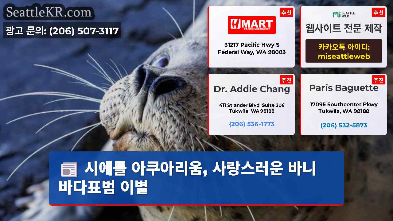 시애틀 뉴스 SeattleKR