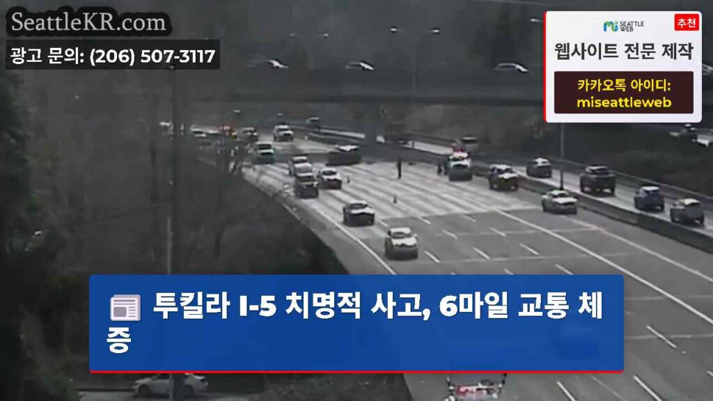투킬라 I-5 치명적 사고, 6마일 교통 체증