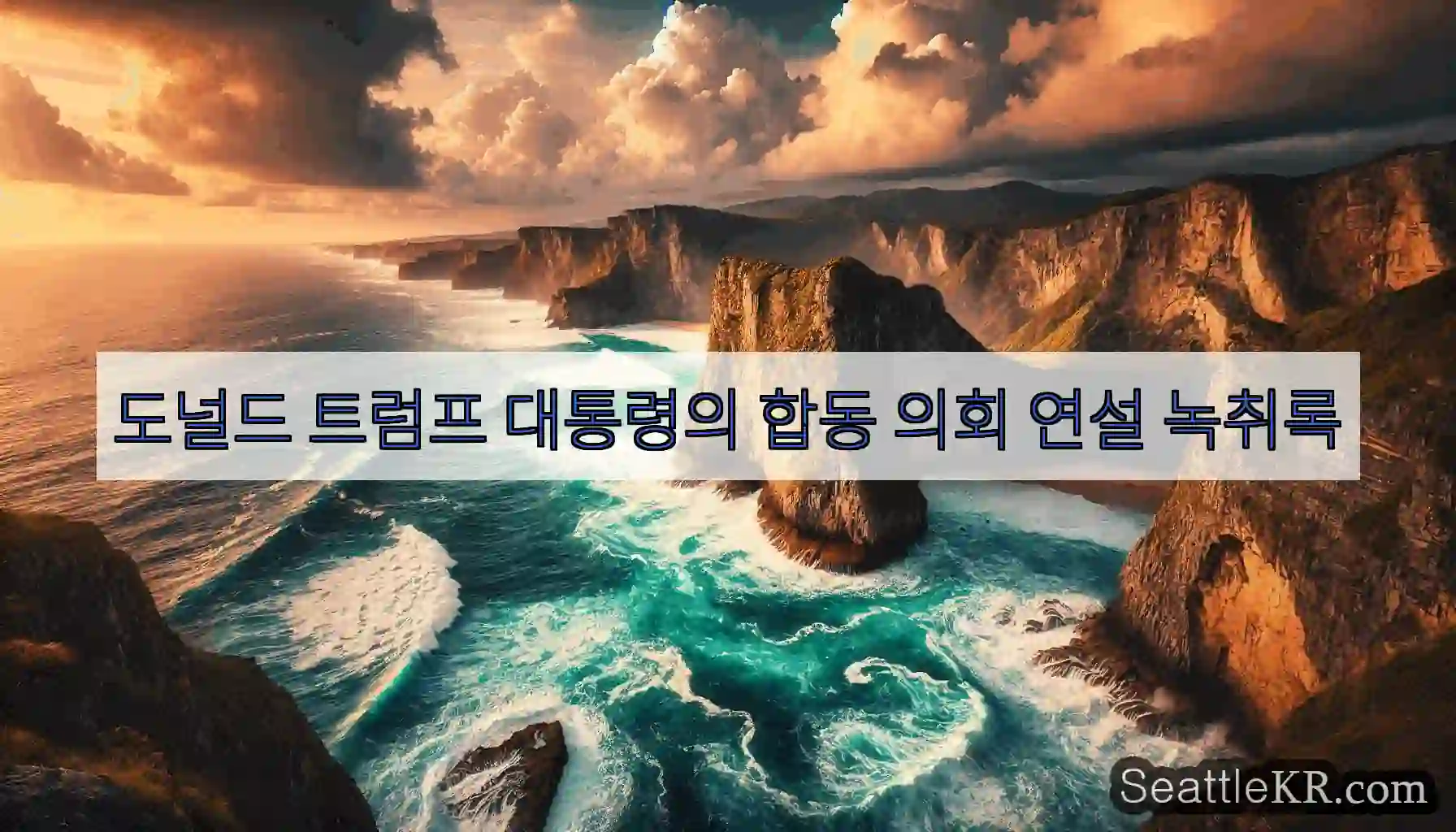 도널드 트럼프 대통령의 합동 의회 연설 녹취록