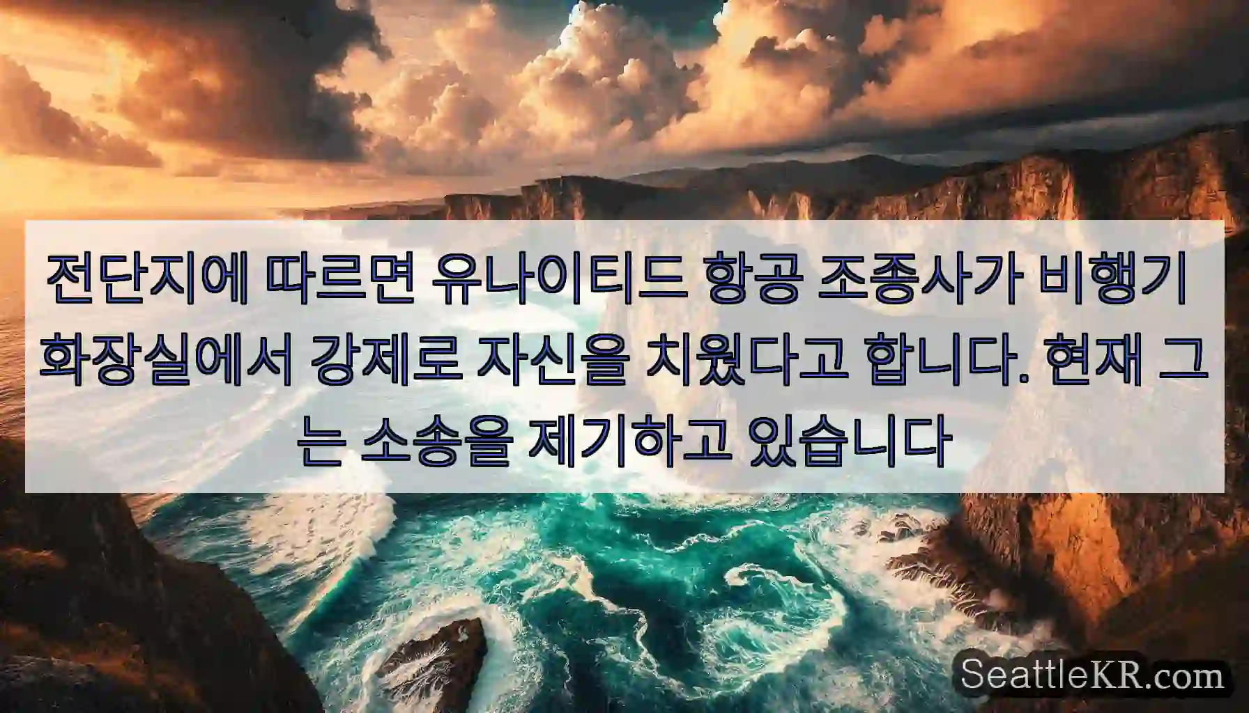 전단지에 따르면 유나이티드 항공 조종사가 비행기 화장실에서 강제로 자신을 치웠다고