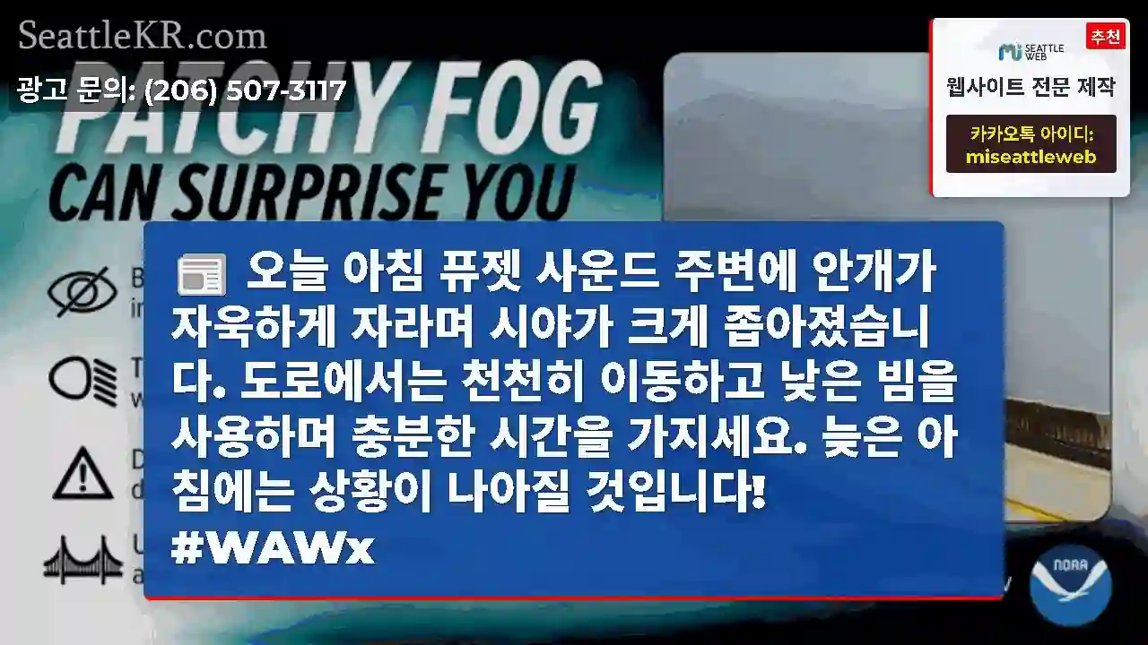 오늘 아침 퓨젯 사운드 주변에 안개가 자욱하게 자라며 시야가 크게 좁아졌습니다.