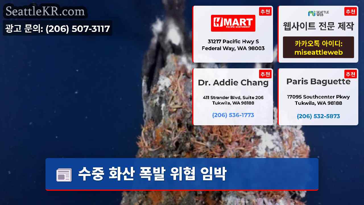 시애틀 뉴스 SeattleKR