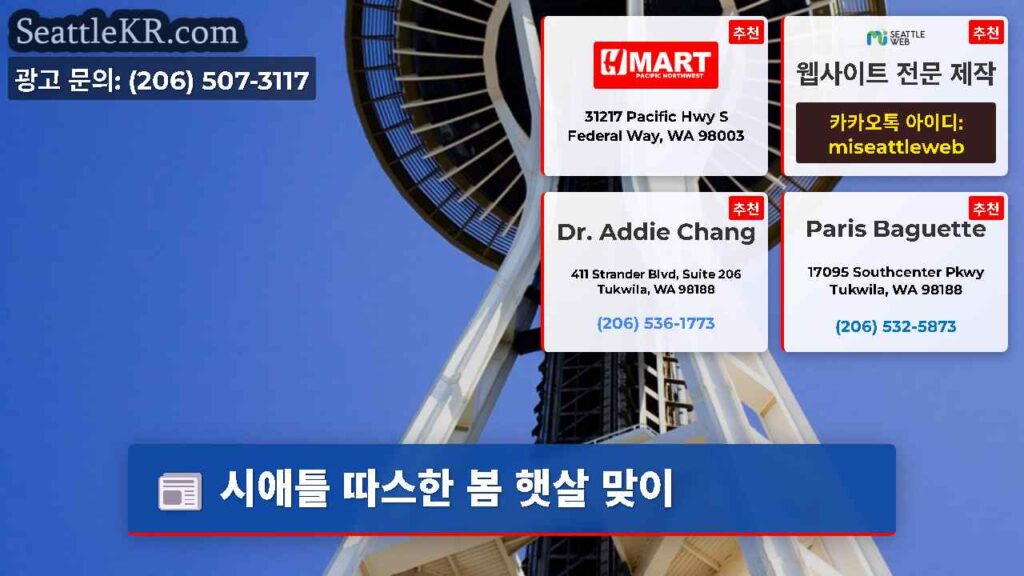 시애틀 따스한 봄 햇살 맞이