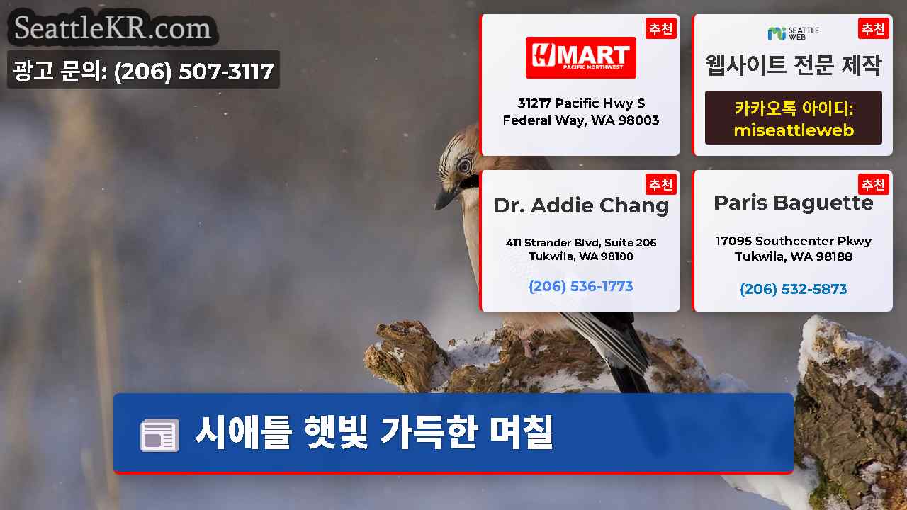 시애틀 뉴스 SeattleKR
