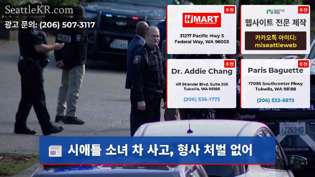 시애틀 소녀 차 사고, 형사 처벌 없어