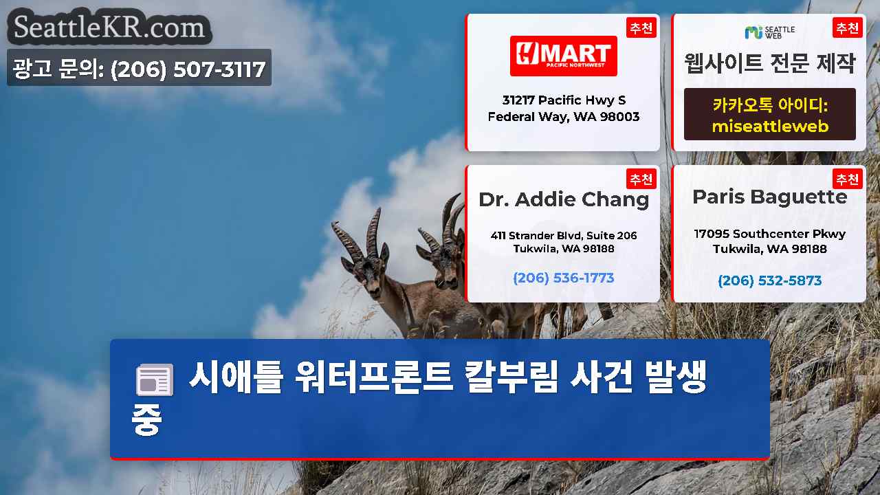 시애틀 뉴스 SeattleKR