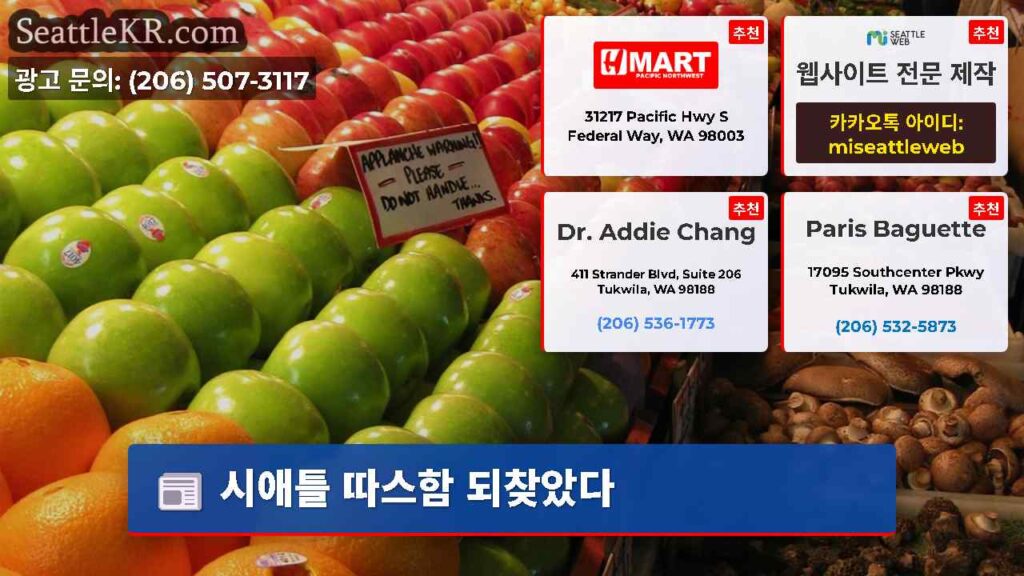 시애틀 따스함 되찾았다