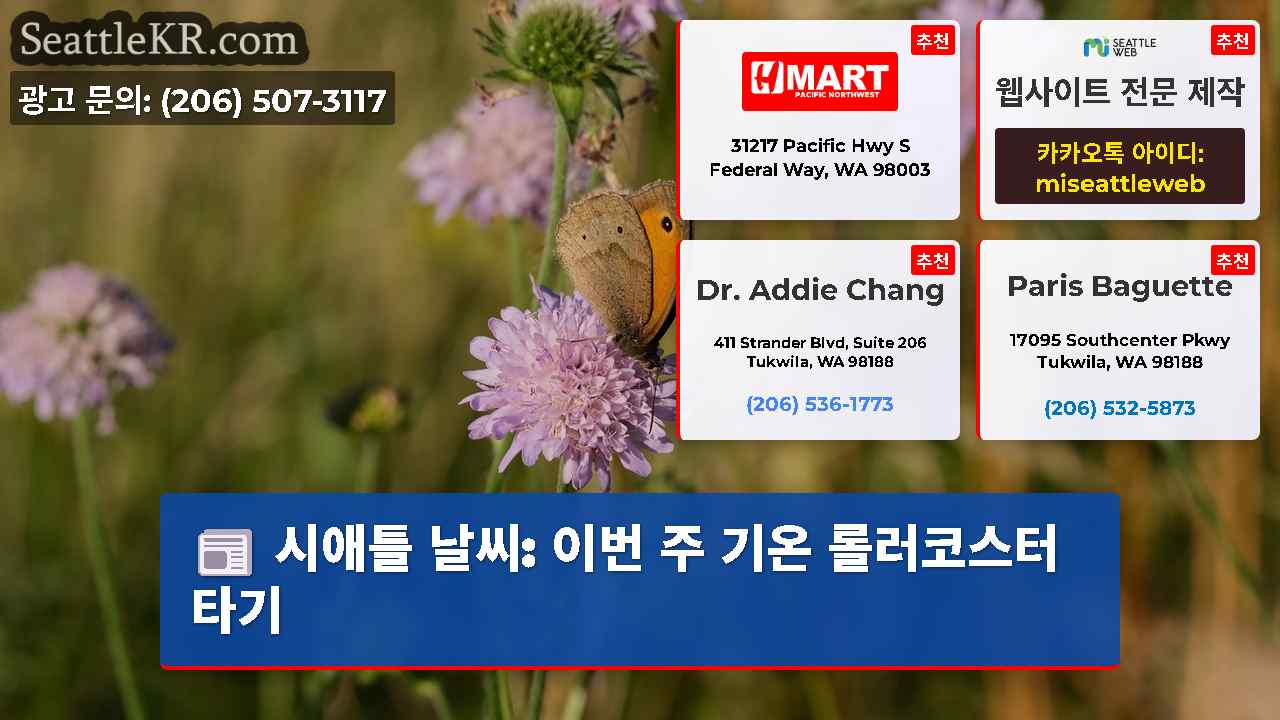 시애틀 뉴스 SeattleKR