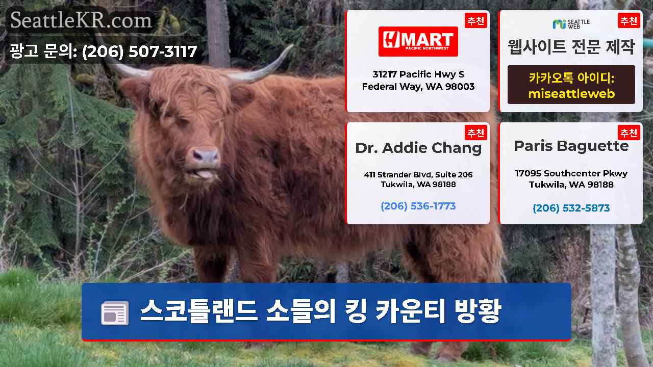 시애틀 뉴스 SeattleKR