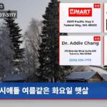 시애틀 여름같은 화요일 햇살