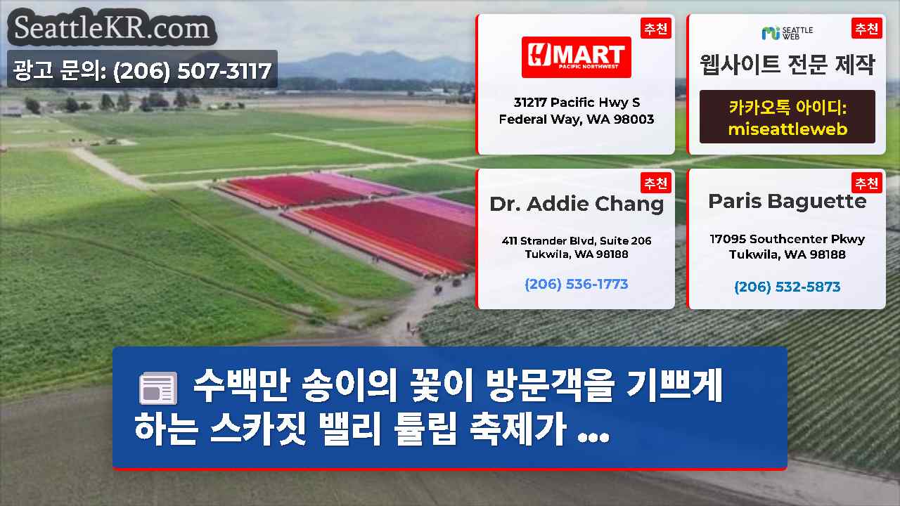 시애틀 뉴스 SeattleKR