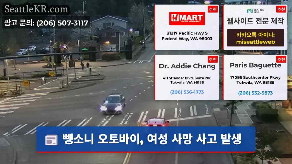 뺑소니 오토바이, 여성 사망 사고 발생