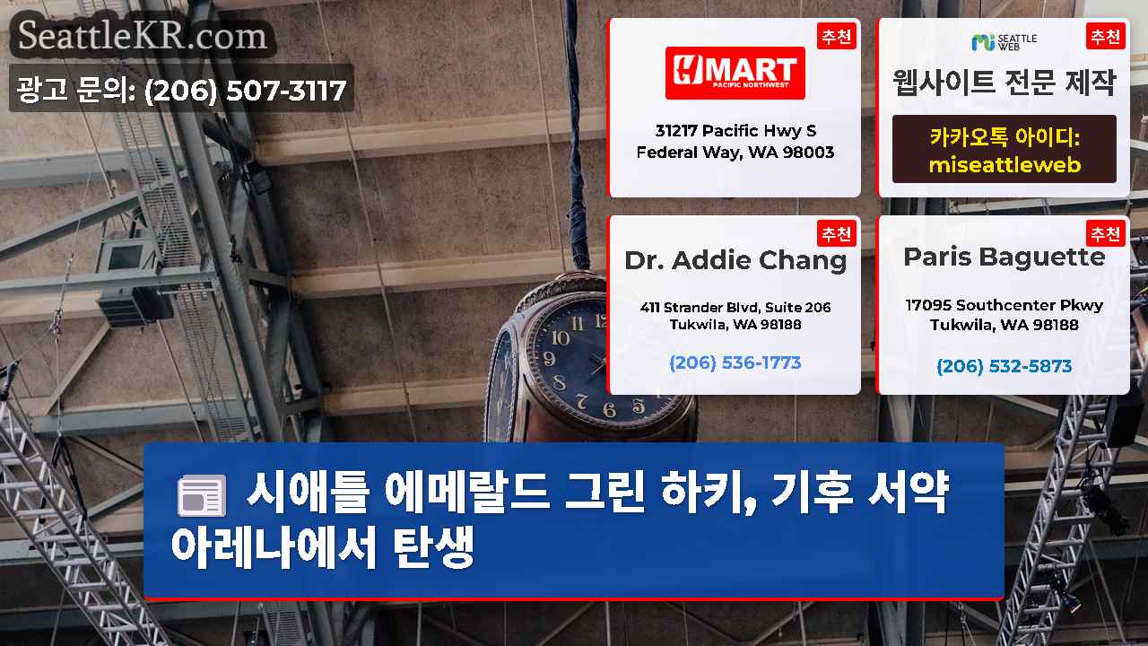 시애틀 뉴스 SeattleKR