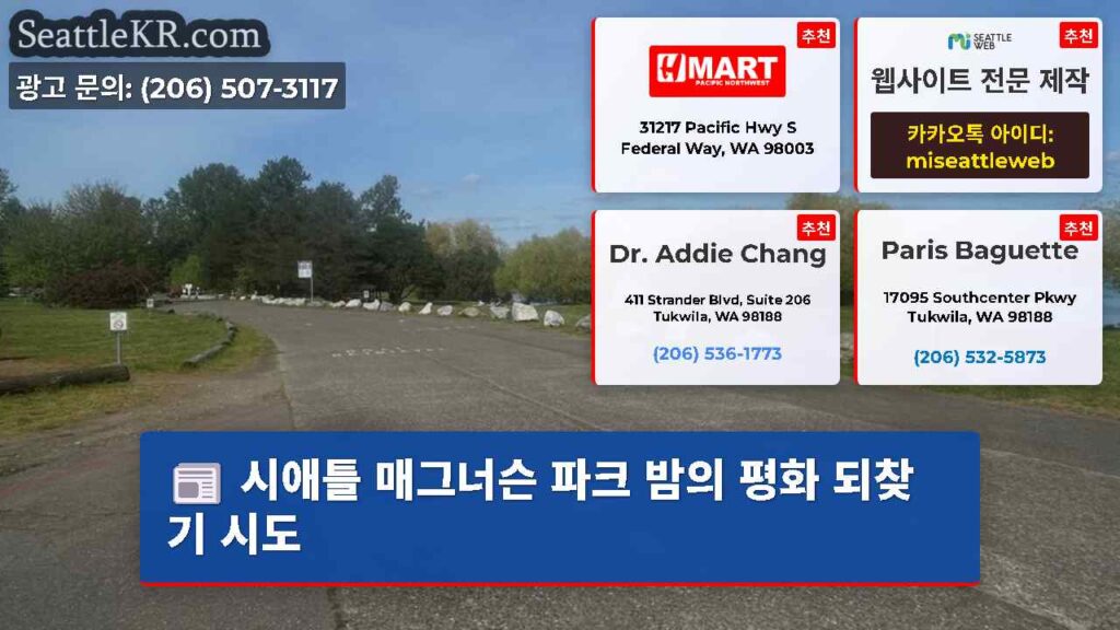 시애틀 매그너슨 파크 밤의 평화 되찾기 시도