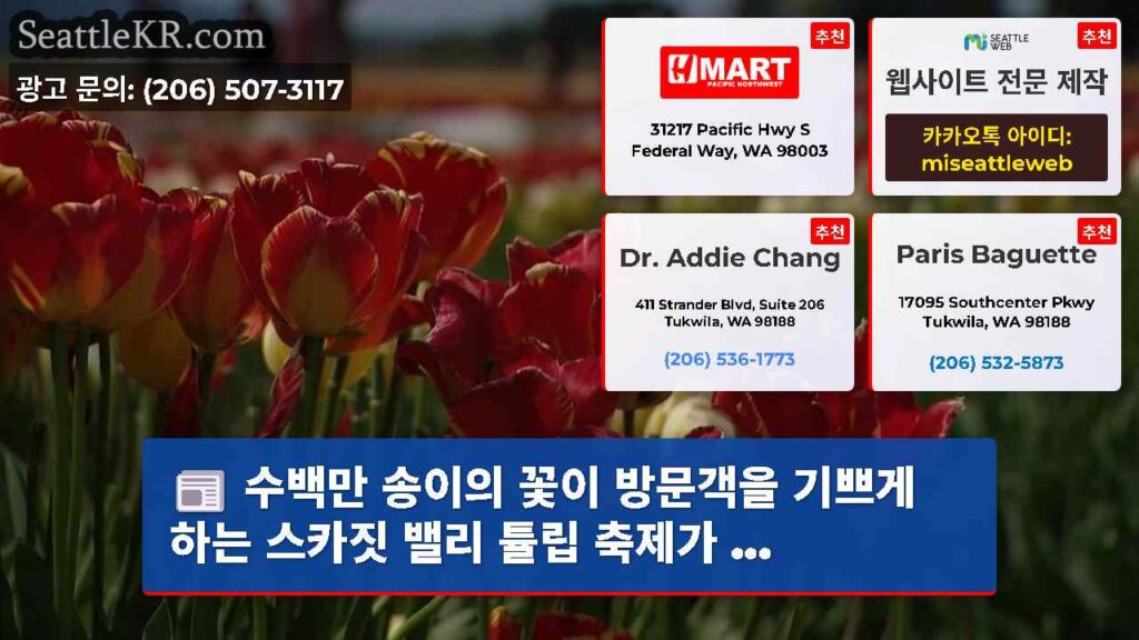 수백만 송이의 꽃이 방문객을 기쁘게 하는 스카짓 밸리 튤립 축제가 ...
