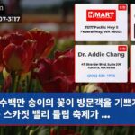 수백만 송이의 꽃이 방문객을 기쁘게 하는 스카짓 밸리 튤립 축제가 …