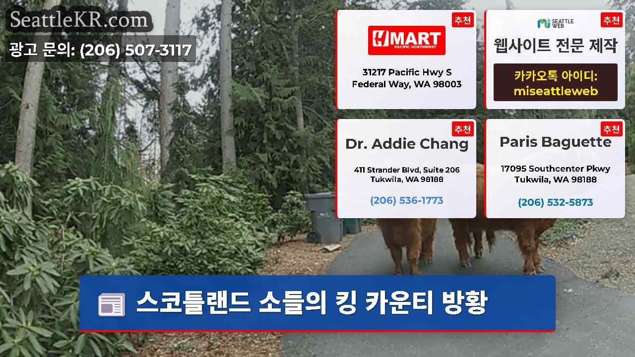 시애틀 뉴스 SeattleKR