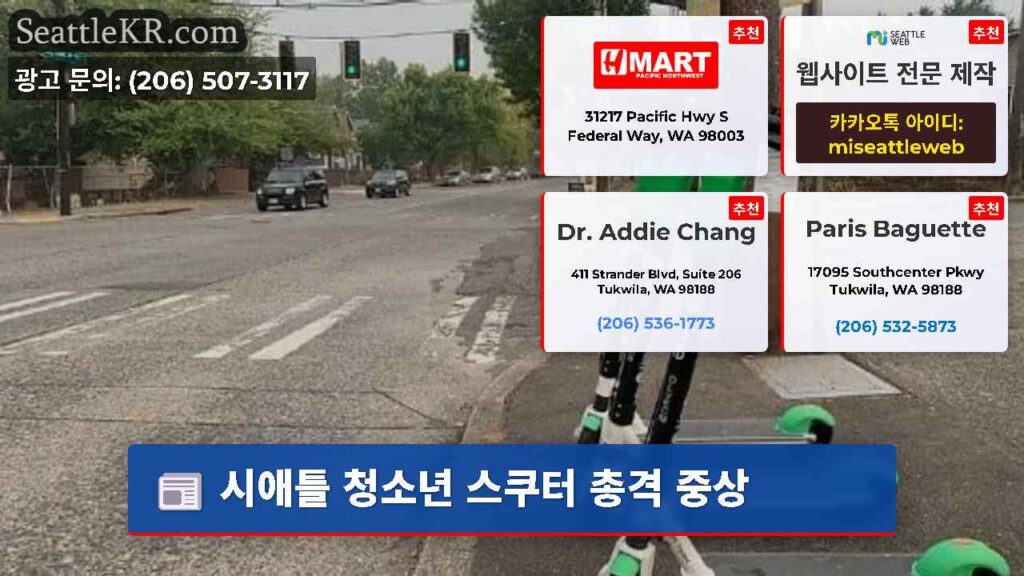 시애틀 청소년 스쿠터 총격 중상