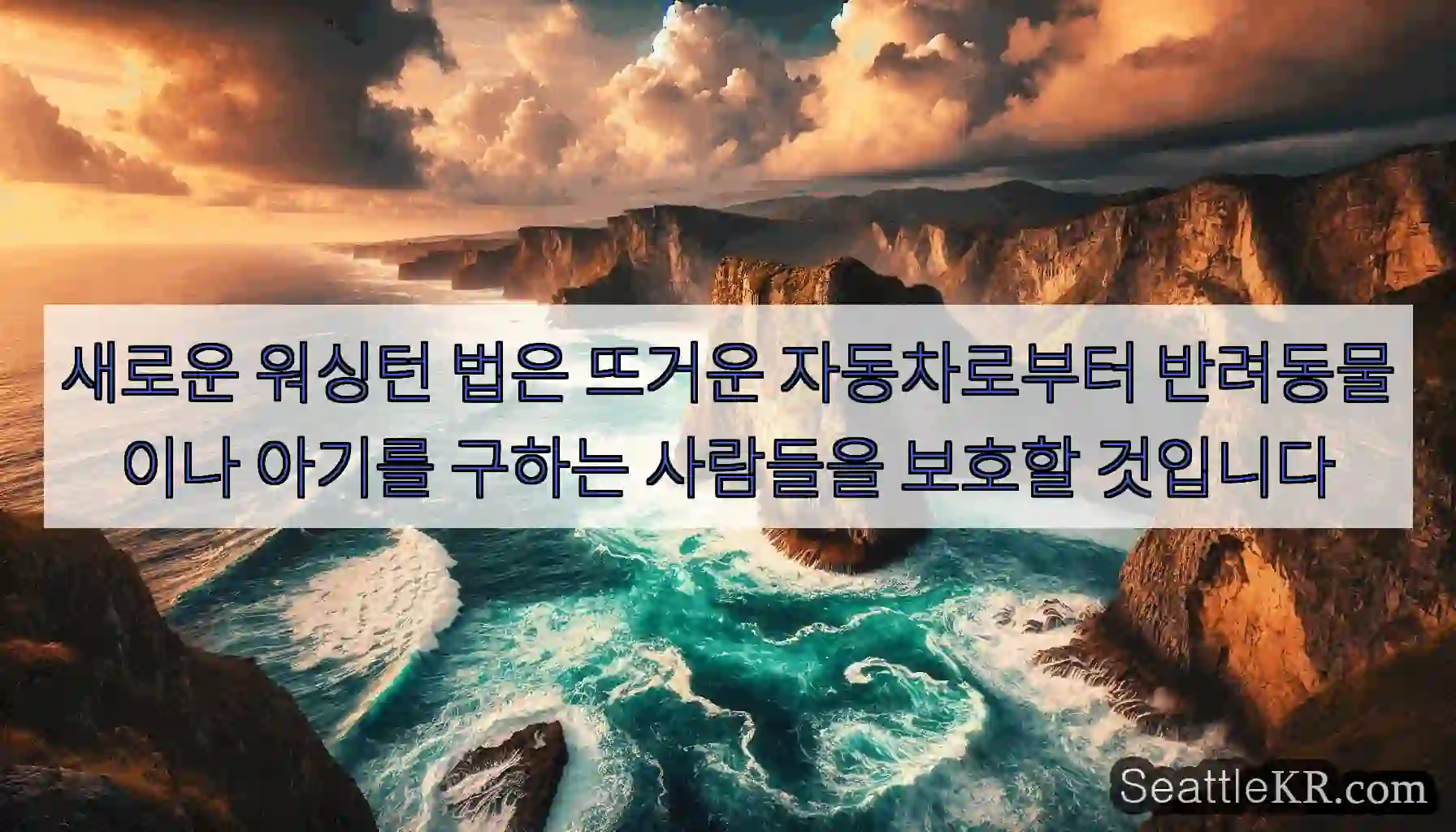 새로운 워싱턴 법은 뜨거운 자동차로부터 반려동물이나 아기를 구하는 사람들을 보호할 것입니다