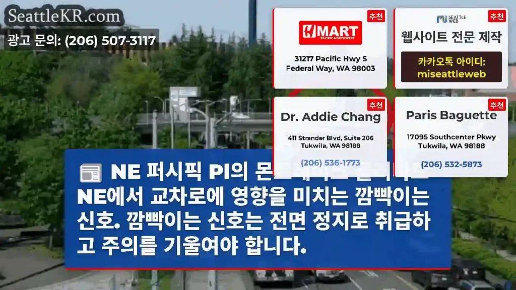 NE 퍼시픽 Pl의 몬트레이크 블러바드 NE에서 교차로에 영향을 미치는 깜빡이는 신호.