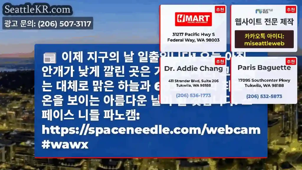 이제 지구의 날 일출입니다! 오늘 아침 안개가 낮게 깔린 곳은 거의 없지만, 그 외에는