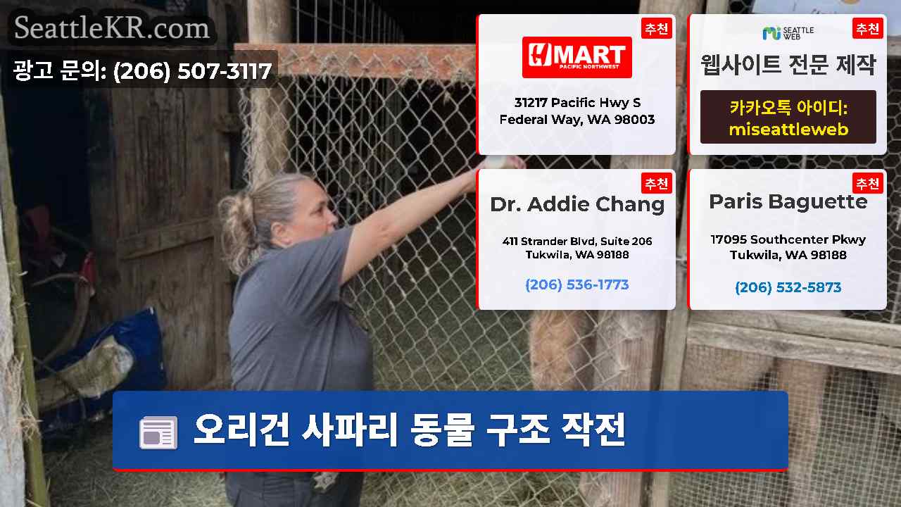시애틀 뉴스 SeattleKR