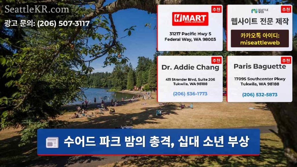 수어드 파크 밤의 총격, 십대 소년 부상