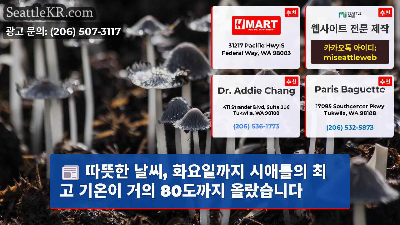 시애틀 뉴스 SeattleKR