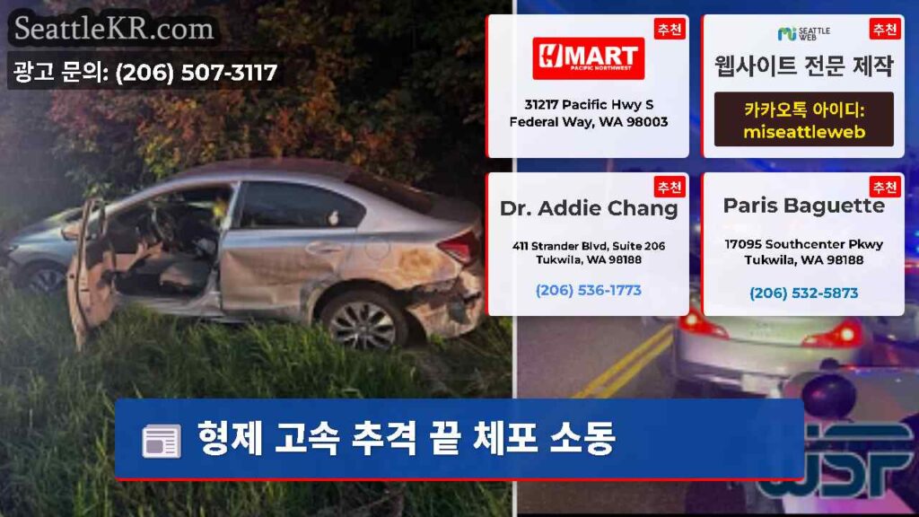 형제 고속 추격 끝 체포 소동