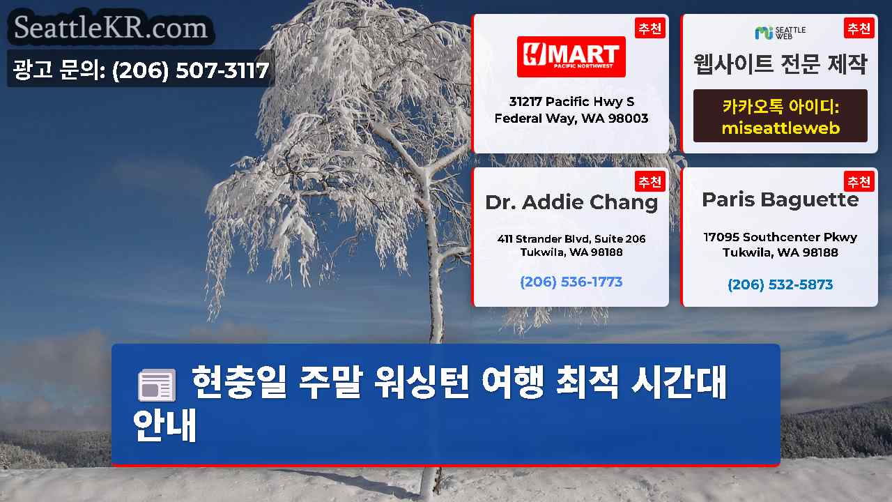 시애틀 뉴스 SeattleKR