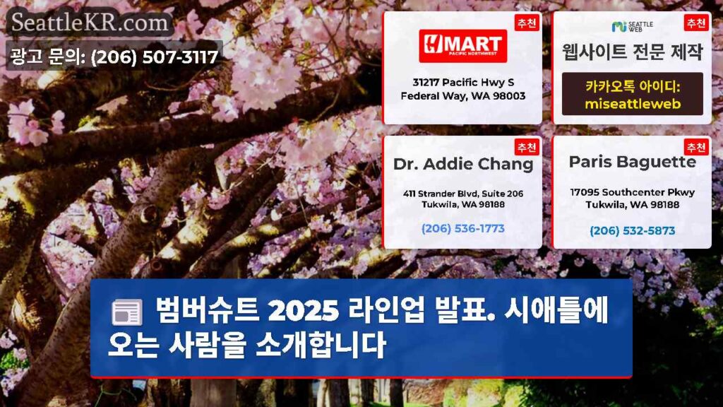 범버슈트 2025 라인업 발표. 시애틀에 오는 사람을 소개합니다