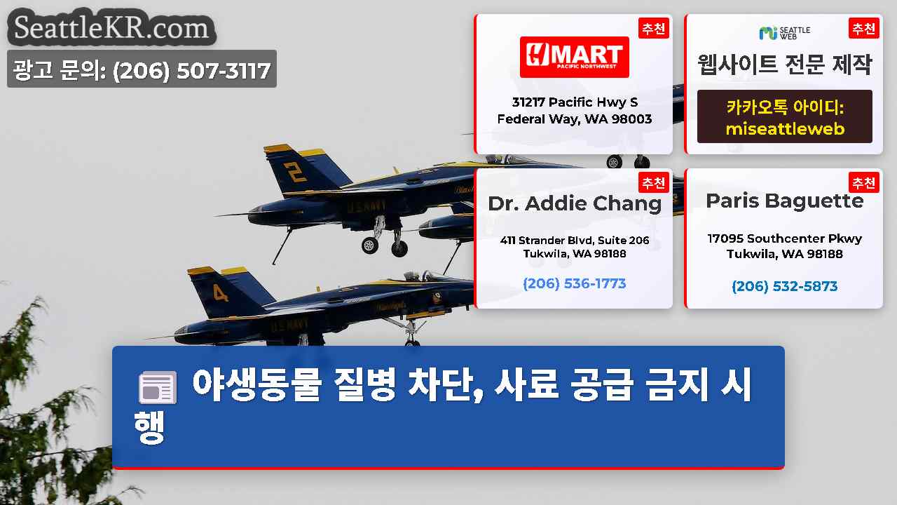 시애틀 뉴스 SeattleKR