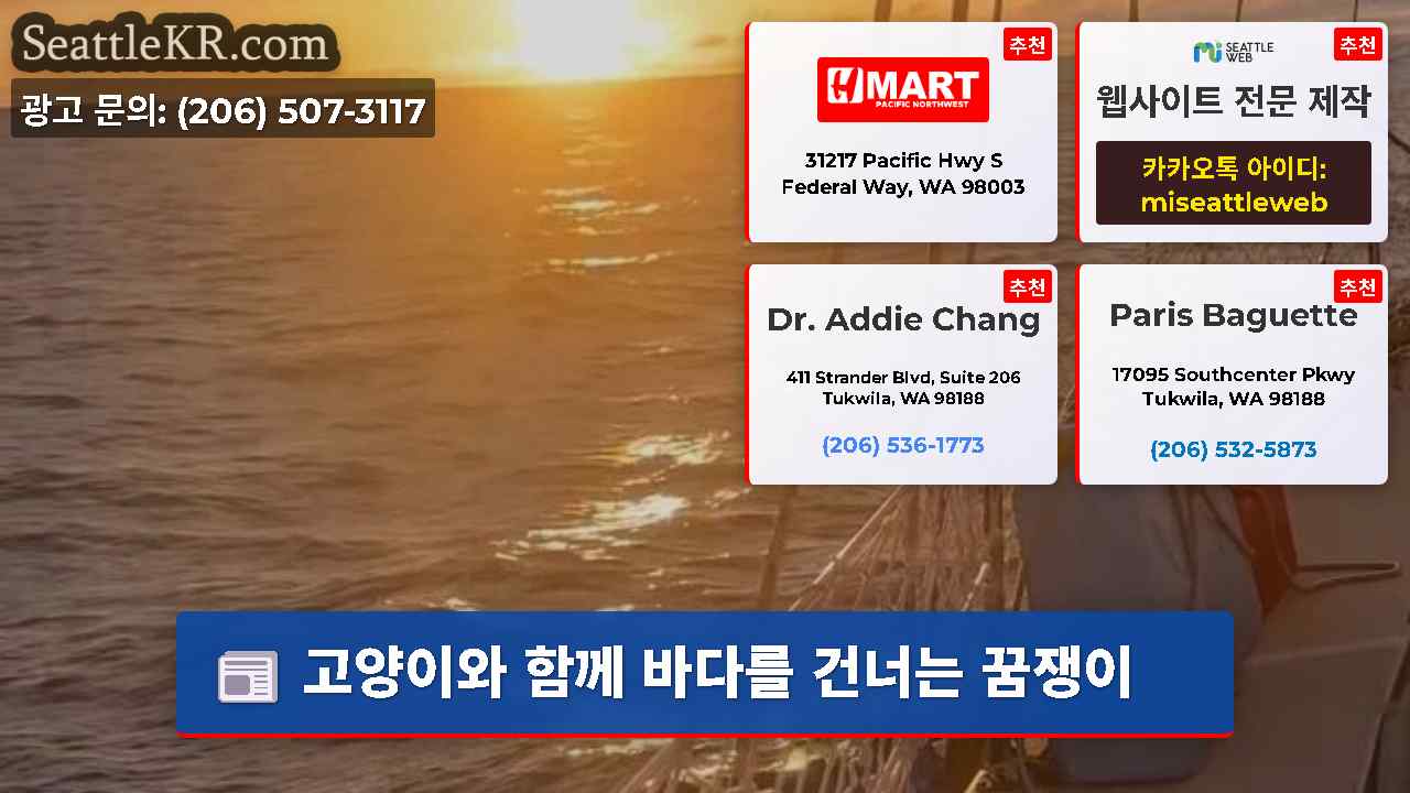 시애틀 뉴스 SeattleKR
